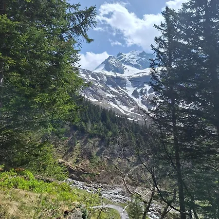 Haus Bergfriede マイヤーホーフェン