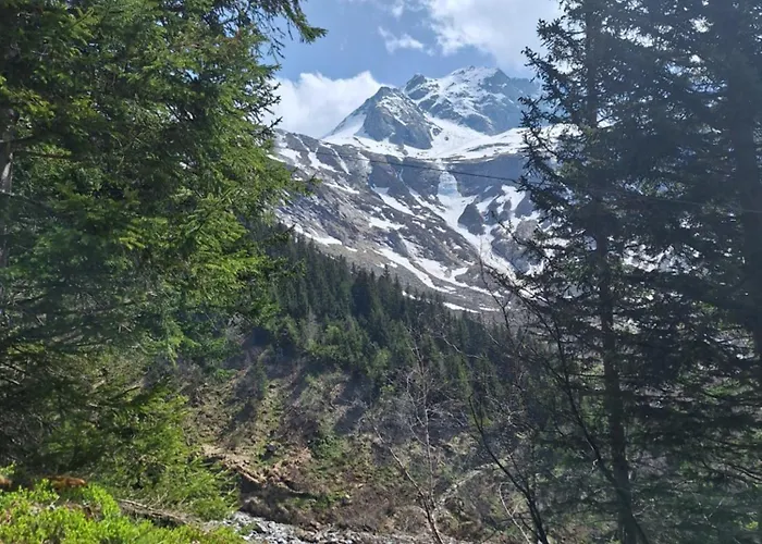 Haus Bergfriede マイヤーホーフェン